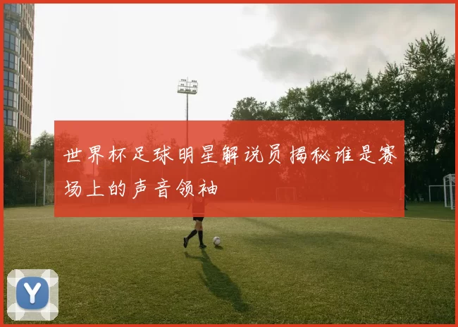 世界杯足球明星解说员揭秘谁是赛场上的声音领袖