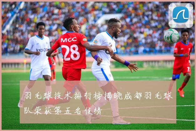 羽毛球技术排行榜揭晓成都羽毛球队荣获第五名佳绩