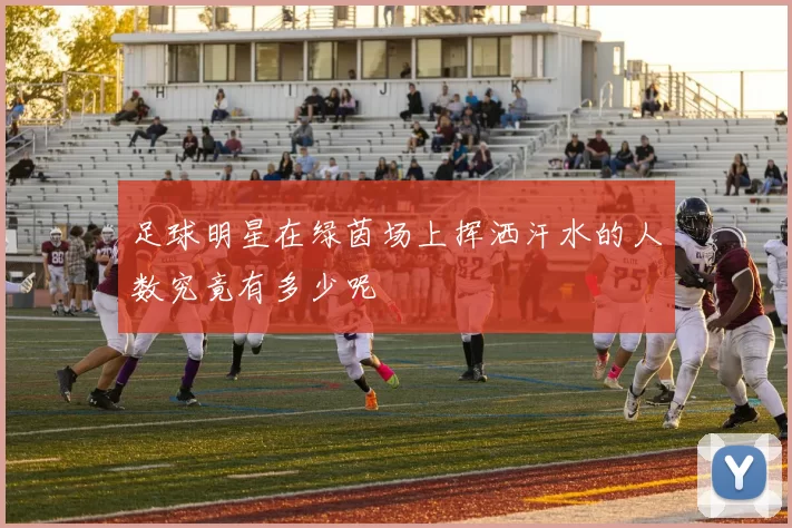 足球明星在绿茵场上挥洒汗水的人数究竟有多少呢