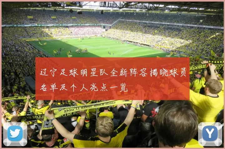 辽宁足球明星队全新阵容揭晓球员名单及个人亮点一览