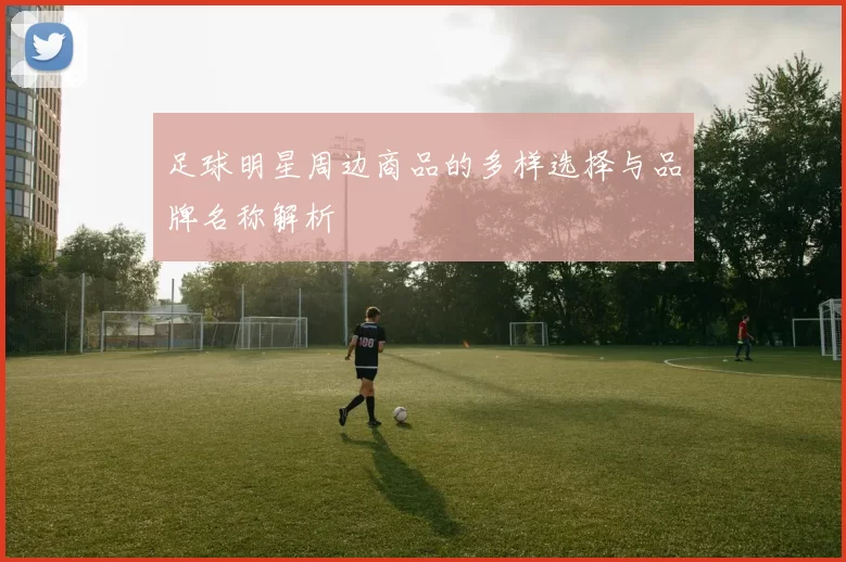 足球明星周边商品的多样选择与品牌名称解析