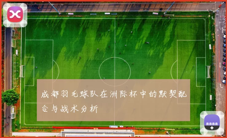成都羽毛球队在洲际杯中的默契配合与战术分析