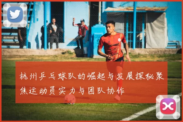 杭州乒乓球队的崛起与发展探秘聚焦运动员实力与团队协作