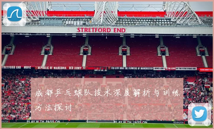 成都乒乓球队技术深度解析与训练方法探讨