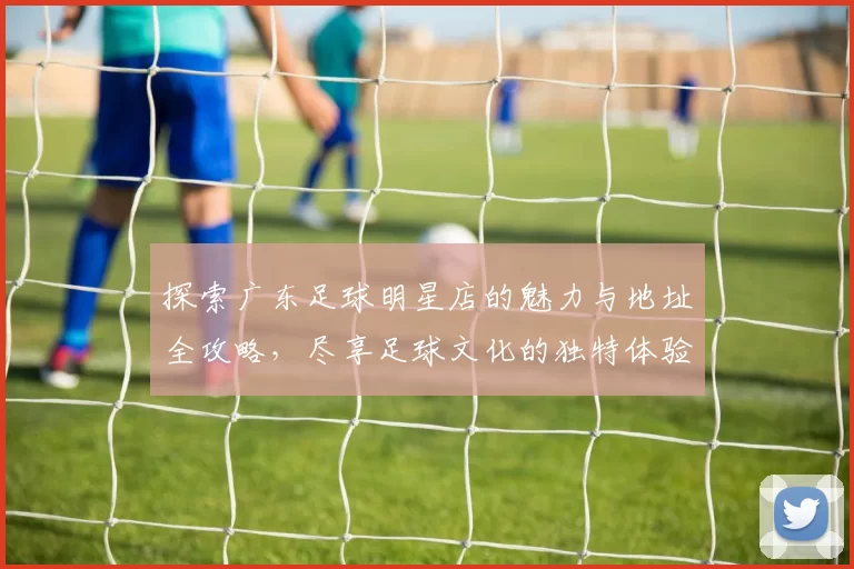 探索广东足球明星店的魅力与地址全攻略，尽享足球文化的独特体验