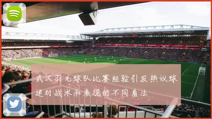 武汉羽毛球队比赛经验引发热议球迷对战术和表现的不同看法