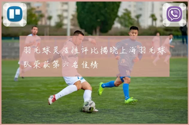 羽毛球灵活性评比揭晓上海羽毛球队荣获第六名佳绩