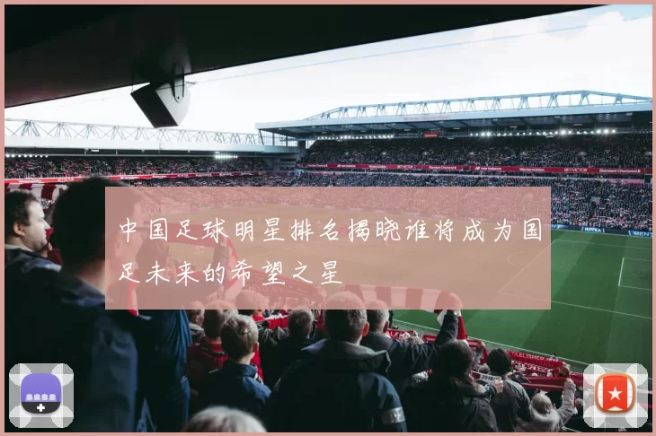 中国足球明星排名揭晓谁将成为国足未来的希望之星