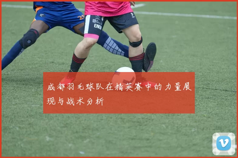成都羽毛球队在精英赛中的力量展现与战术分析