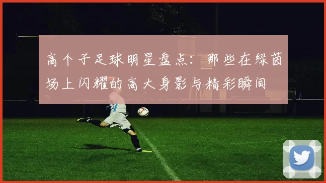 高个子足球明星盘点：那些在绿茵场上闪耀的高大身影与精彩瞬间