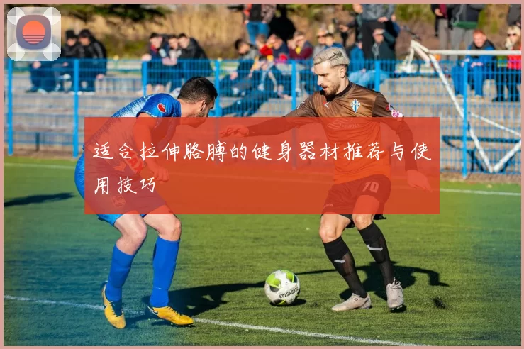 适合拉伸胳膊的健身器材推荐与使用技巧