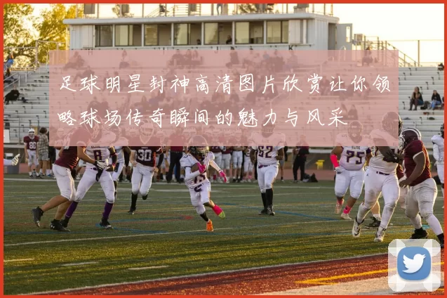 足球明星封神高清图片欣赏让你领略球场传奇瞬间的魅力与风采