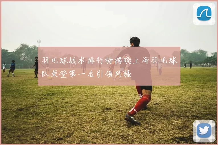 羽毛球战术排行榜揭晓上海羽毛球队荣登第一名引领风骚