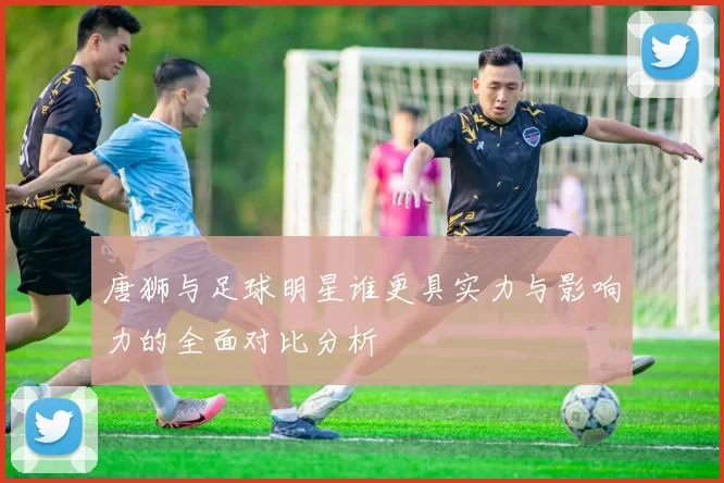 唐狮与足球明星谁更具实力与影响力的全面对比分析