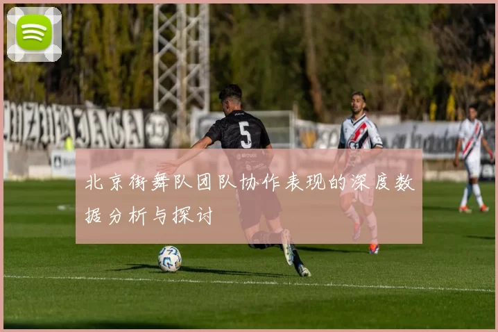 北京街舞队团队协作表现的深度数据分析与探讨