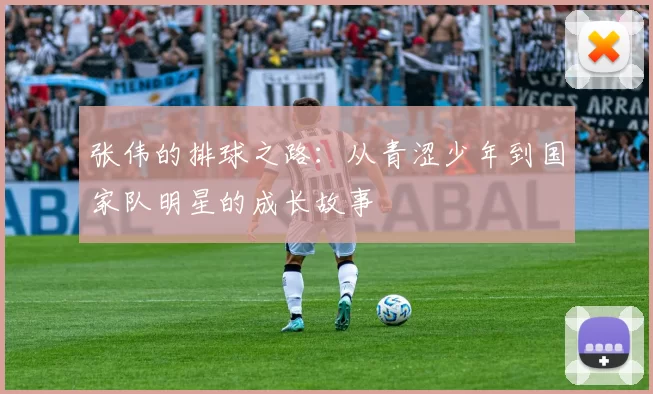 张伟的排球之路：从青涩少年到国家队明星的成长故事