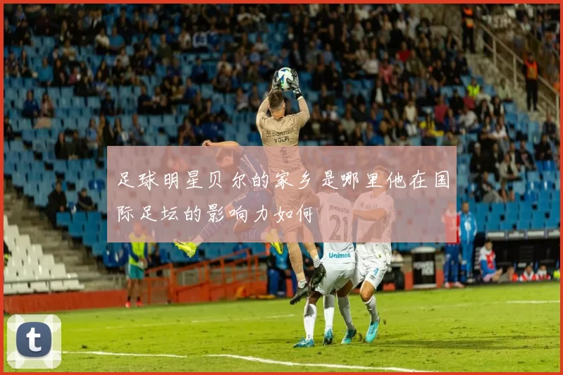 足球明星贝尔的家乡是哪里他在国际足坛的影响力如何