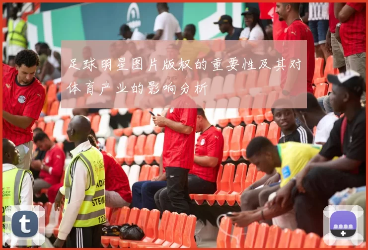 足球明星图片版权的重要性及其对体育产业的影响分析