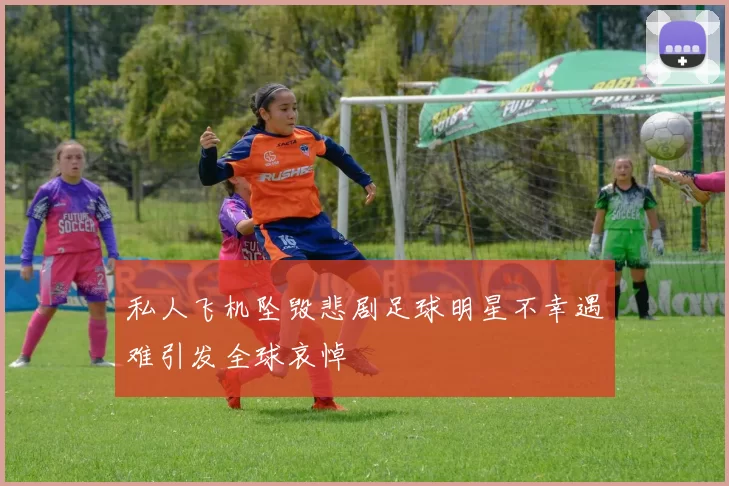 私人飞机坠毁悲剧足球明星不幸遇难引发全球哀悼
