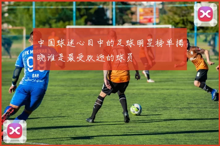 中国球迷心目中的足球明星榜单揭晓谁是最受欢迎的球员