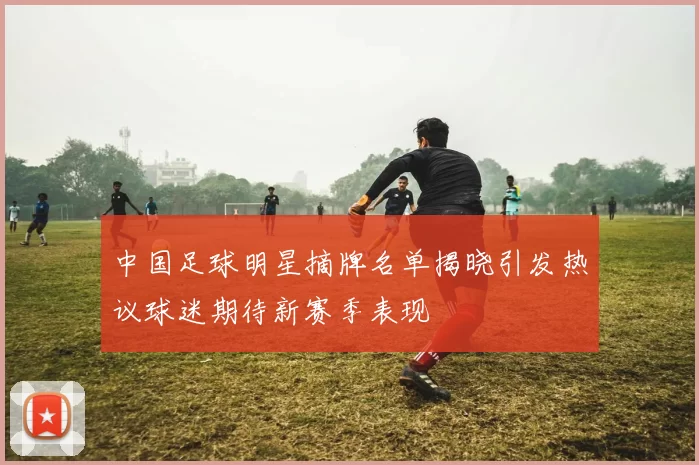 中国足球明星摘牌名单揭晓引发热议球迷期待新赛季表现