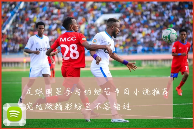 足球明星参与的综艺节目小说推荐完结版精彩纷呈不容错过