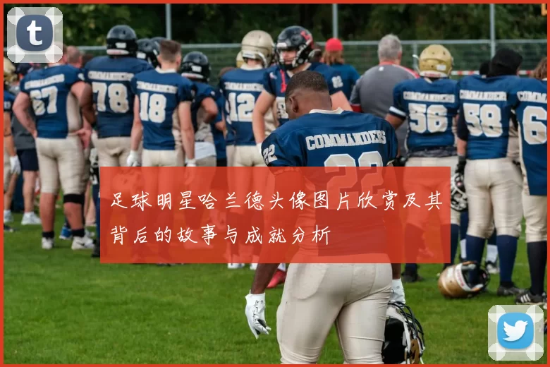 足球明星哈兰德头像图片欣赏及其背后的故事与成就分析