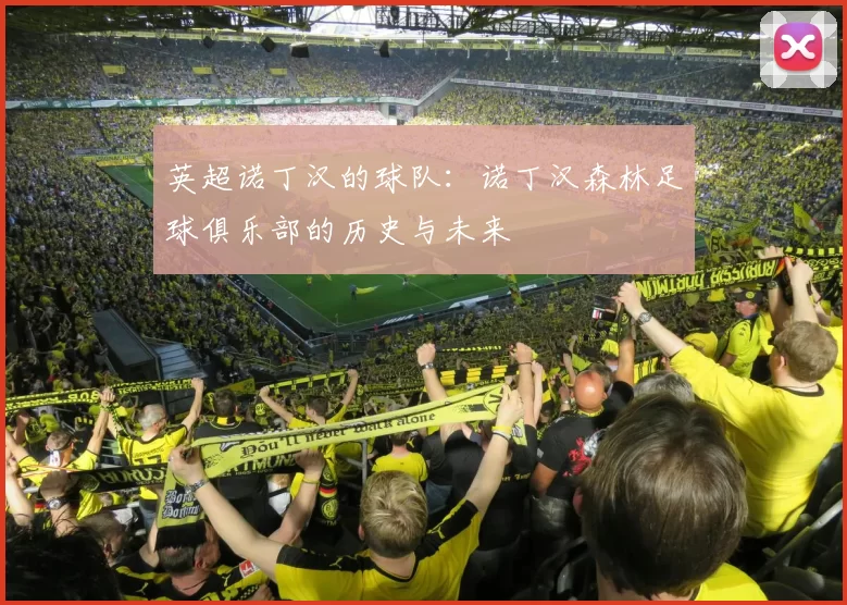 英超诺丁汉的球队：诺丁汉森林足球俱乐部的历史与未来